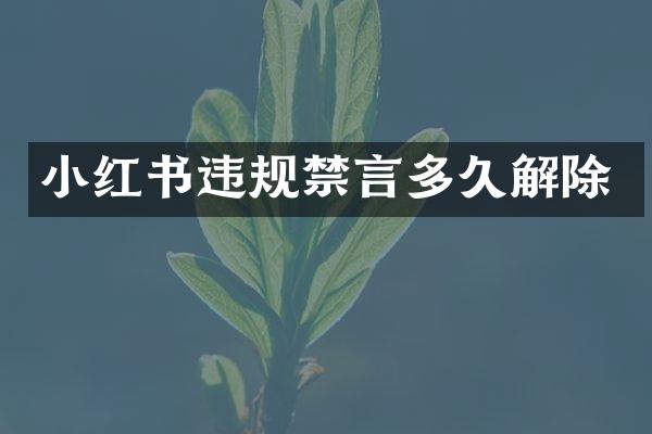 小红书违规禁言多久解除