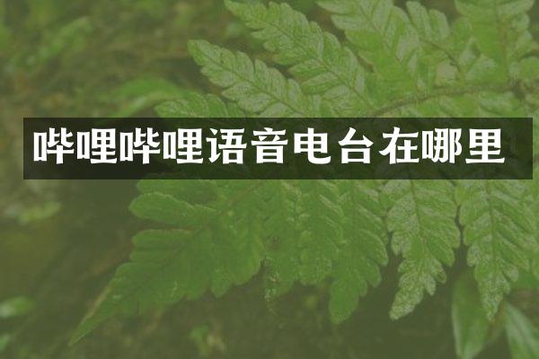 哔哩哔哩语音电台在哪里