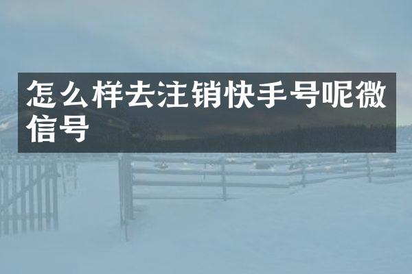 怎么样去注销快手号呢微信号