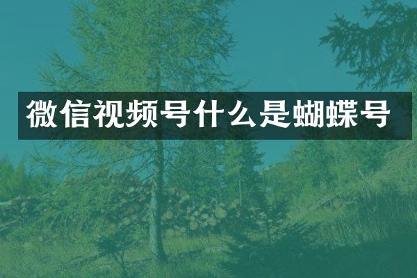 微信视频号什么是蝴蝶号