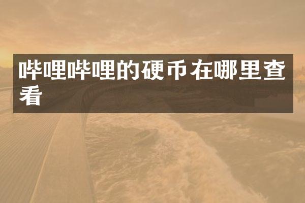 哔哩哔哩的硬币在哪里查看