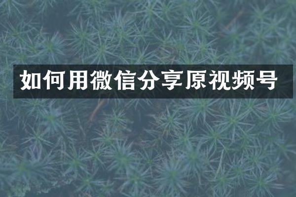 如何用微信分享原视频号