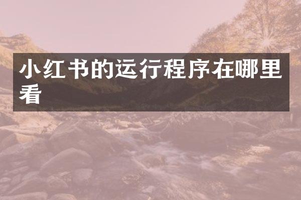 小红书的运行程序在哪里看
