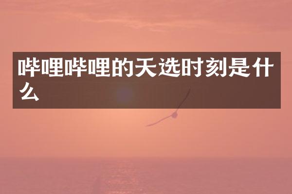 哔哩哔哩的天选时刻是什么