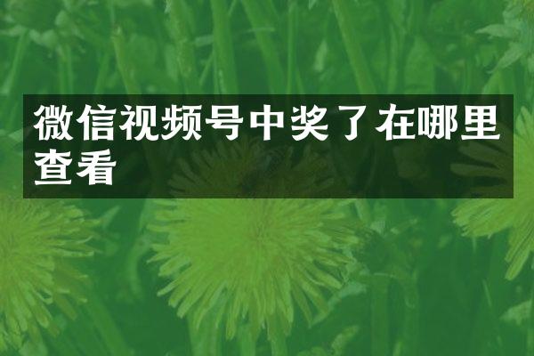 微信视频号中奖了在哪里查看