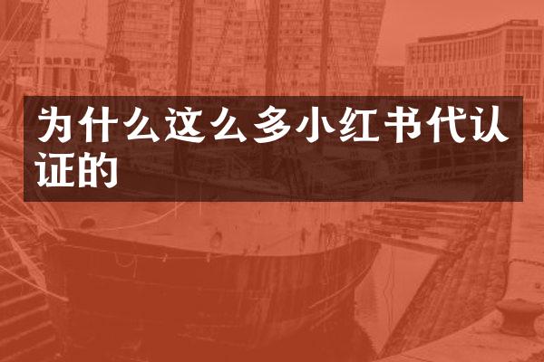 为什么这么多小红书代认证的