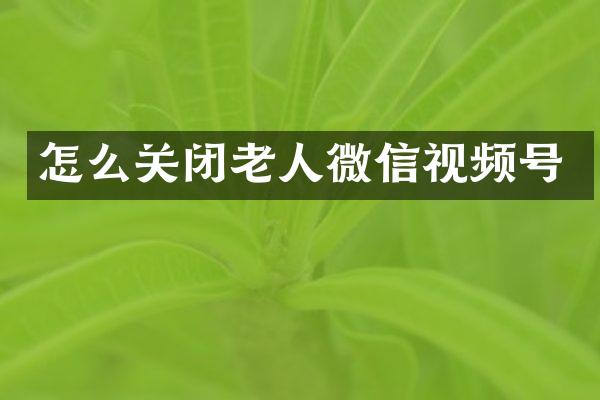 怎么关闭老人微信视频号