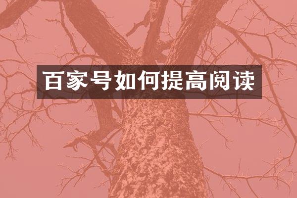 百家号如何提高阅读