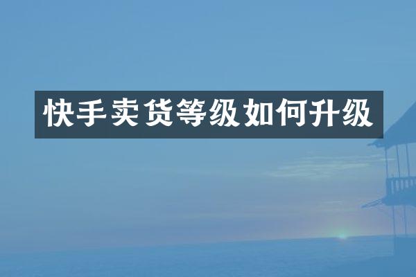 快手卖货等级如何升级
