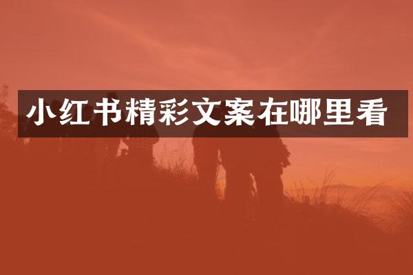 小红书精彩文案在哪里看