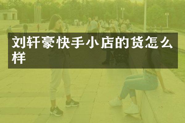 刘轩豪快手小店的货怎么样