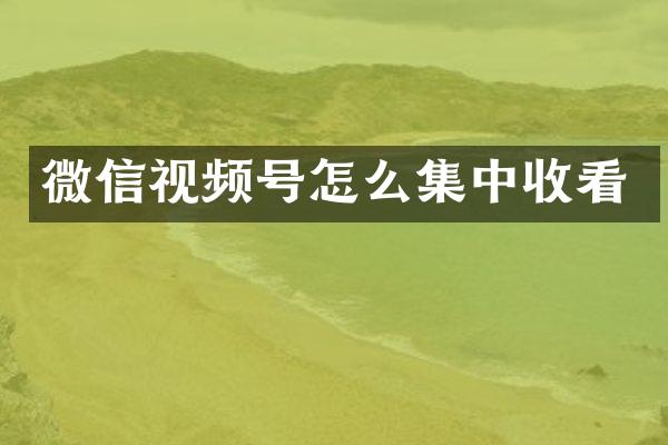微信视频号怎么集中收看