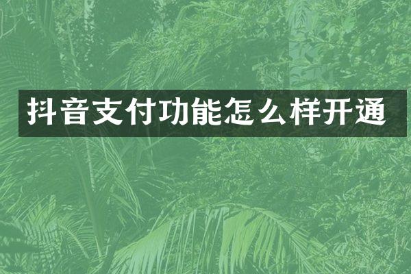 抖音支付功能怎么样开通