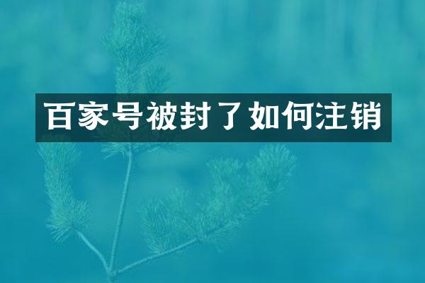 百家号被封了如何注销
