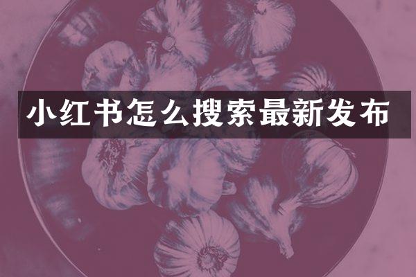 小红书怎么搜索最新发布