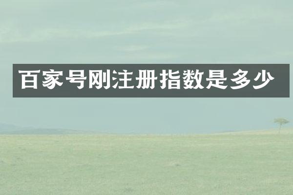 百家号刚注册指数是多少