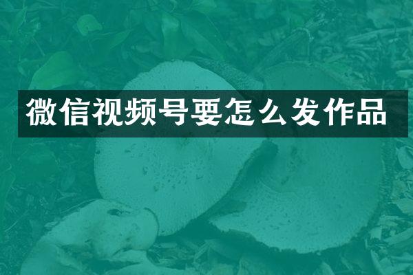 微信视频号要怎么发作品