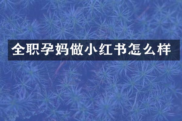 全职孕妈做小红书怎么样