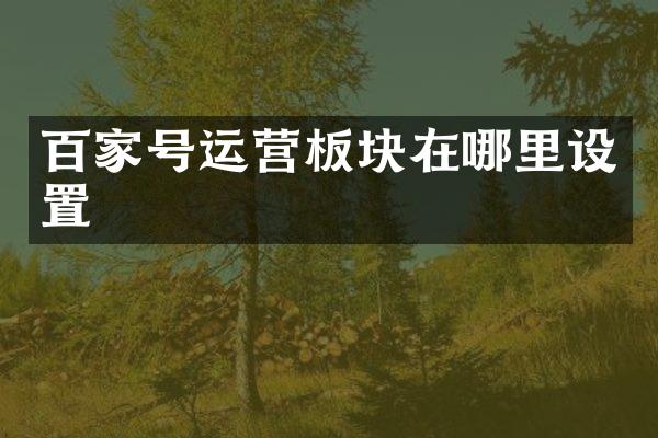 百家号运营板块在哪里设置