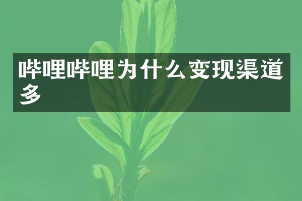 哔哩哔哩为什么变现渠道多