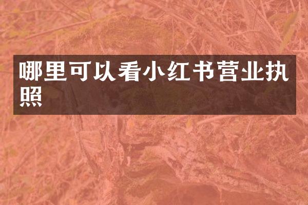 哪里可以看小红书营业执照