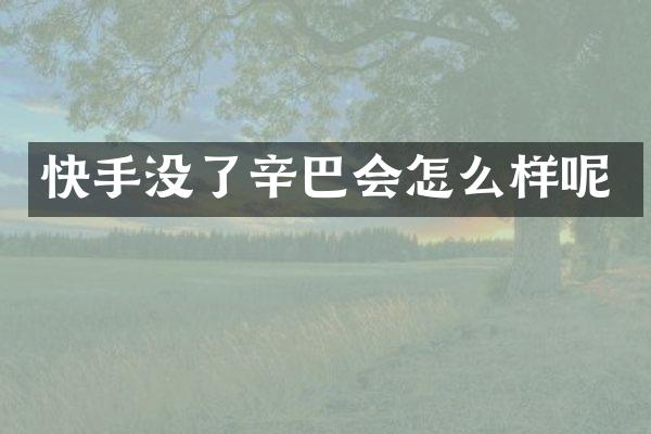 快手没了辛巴会怎么样呢