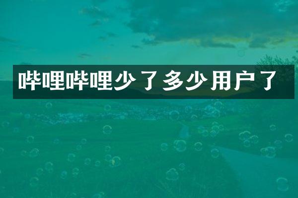 哔哩哔哩少了多少用户了