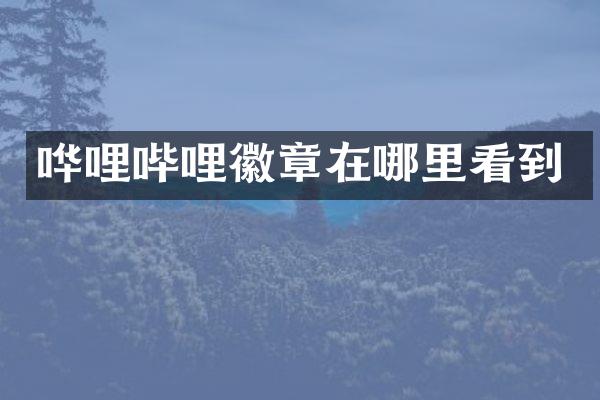 哗哩哔哩徽章在哪里看到