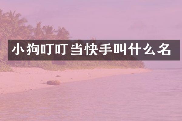 小狗叮叮当快手叫什么名