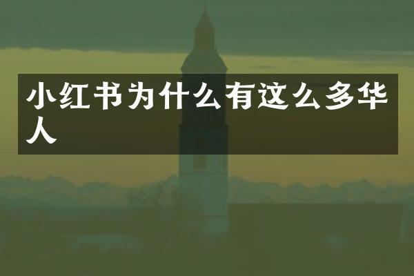 小红书为什么有这么多华人