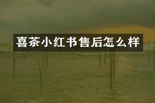 喜茶小红书售后怎么样