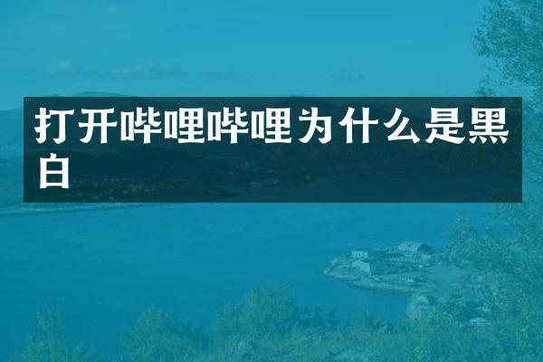 打开哔哩哔哩为什么是黑白