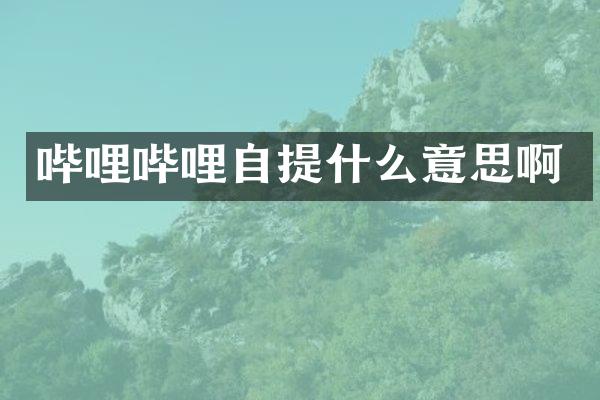 哔哩哔哩自提什么意思啊