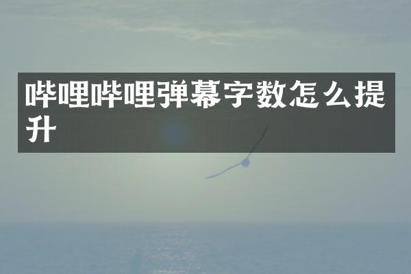 哔哩哔哩弹幕字数怎么提升