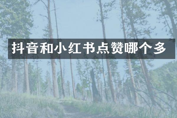 抖音和小红书点赞哪个多