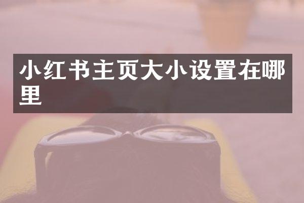 小红书主页大小设置在哪里