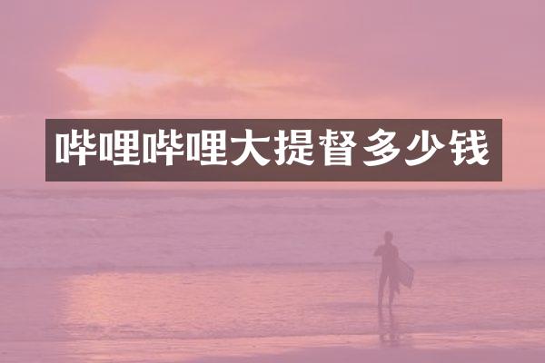 哔哩哔哩大提督多少钱
