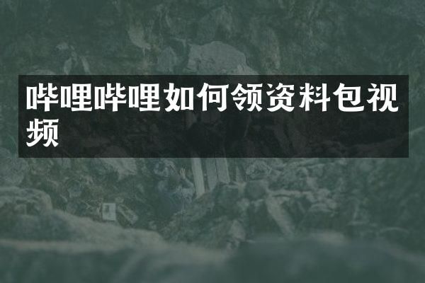 哔哩哔哩如何领资料包视频