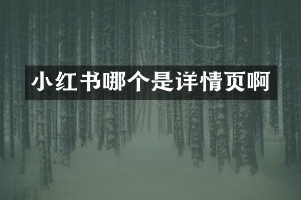 小红书哪个是详情页啊