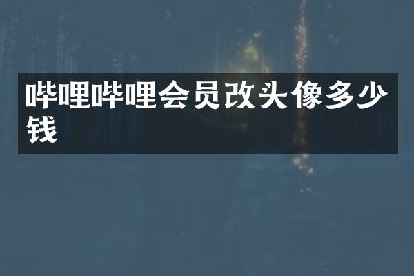 哔哩哔哩会员改头像多少钱