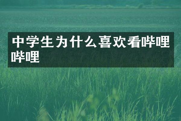 中学生为什么喜欢看哔哩哔哩