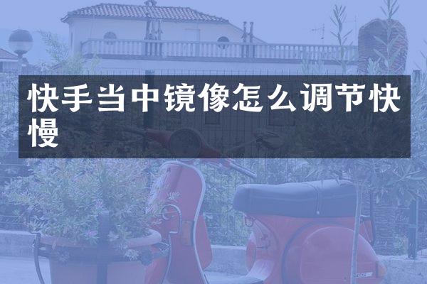 快手当中镜像怎么调节快慢