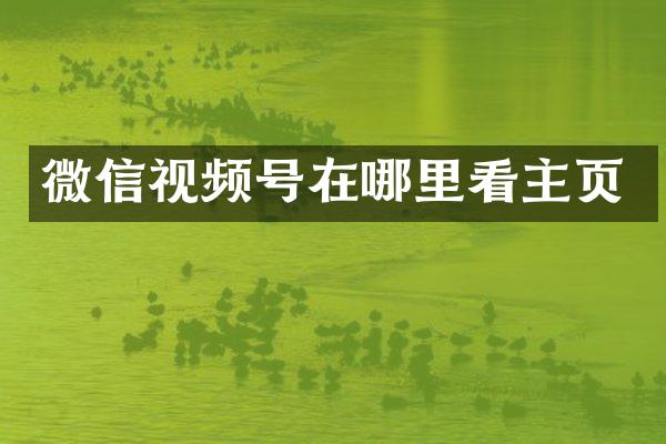 微信视频号在哪里看主页