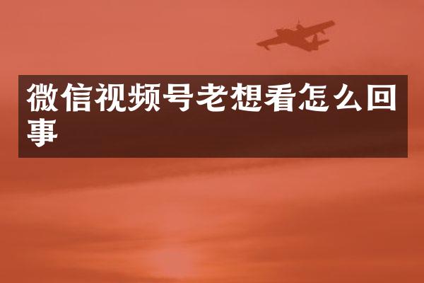 微信视频号老想看怎么回事
