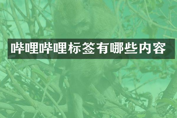 哔哩哔哩标签有哪些内容