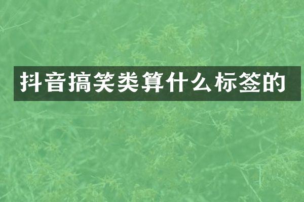 抖音搞笑类算什么标签的