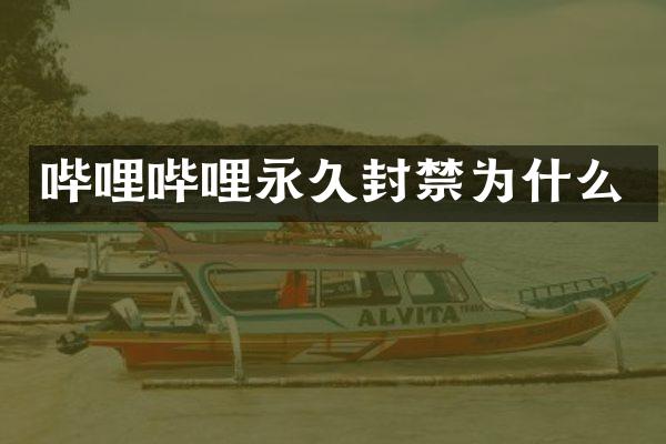 哔哩哔哩永久封禁为什么