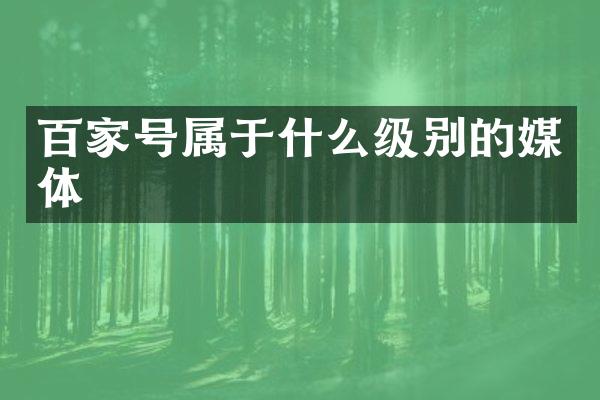 百家号属于什么级别的媒体
