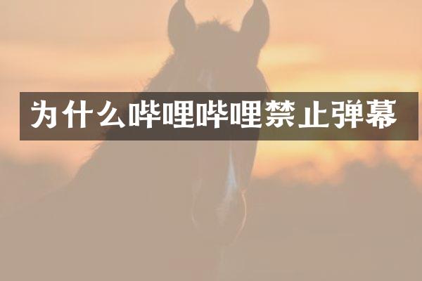 为什么哔哩哔哩禁止弹幕