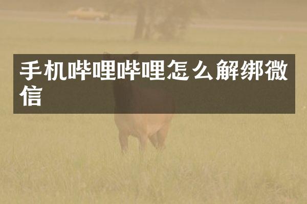 手机哔哩哔哩怎么解绑微信